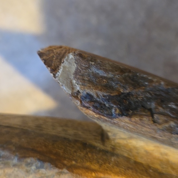 Tommy Bahama Large Wooden Pineapple Bowl - Picture 9 of 9